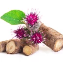 Ingredient of Folicerin = Burdock Extract