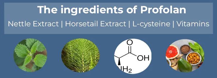 The ingredients of Profolan